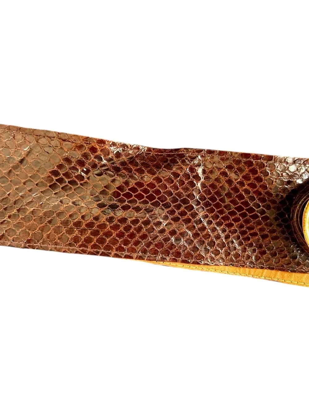 Vintage Snakeskin Belt